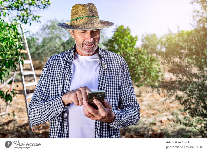 Nachdenklich reifen Landwirt mit Smartphone in Bauernhof Mann beschäftigt Ackerbau Anruf benutzend Gespräch Garten Ernte männlich Ackerland Gärtner wachsen