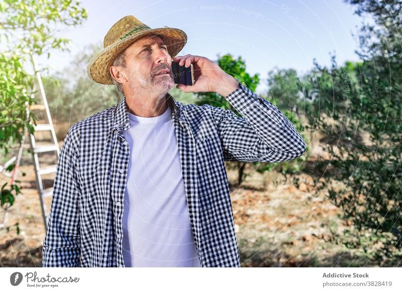 Nachdenklich reifen Bauern sprechen auf Smartphone in Bauernhof Mann beschäftigt Landwirt Ackerbau Anruf benutzend Gespräch Garten Ernte männlich Ackerland