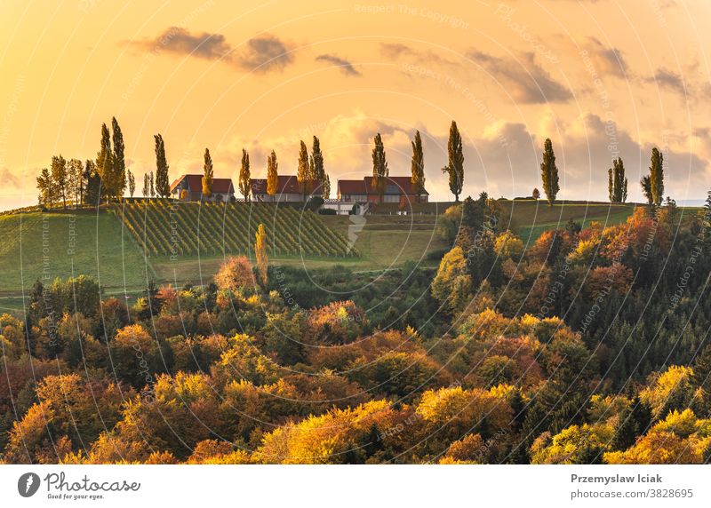 Weinbaulandschaft Südsteiermark, Toskana von Österreich. Sonnenaufgang im Herbst. Hintergrund orange Natur rebenland gamlitz Weinstraße Weinberge reisen