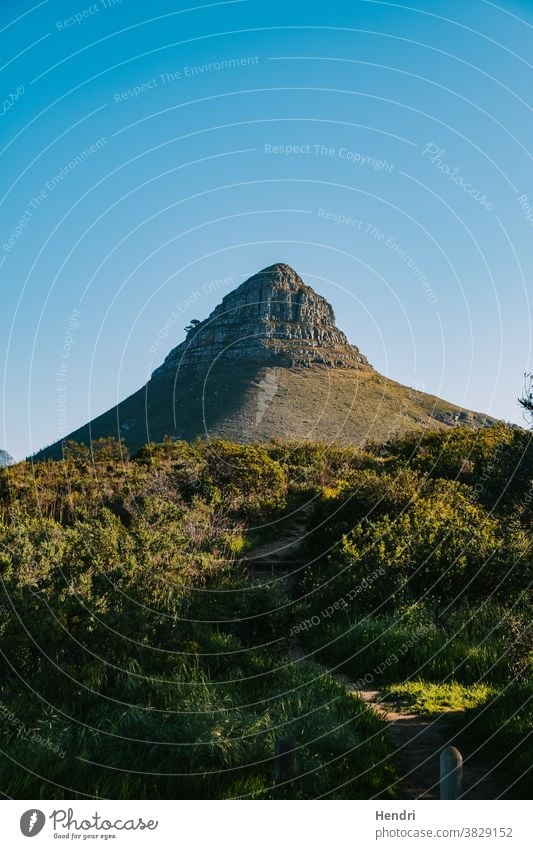 Berg mit schönem blauen Himmel und grünem Gras - Lion's Head Kapstadt Südafrika Nachlauf führend nach oben zu Berge u. Gebirge Löwen Der Löwe... Kopf