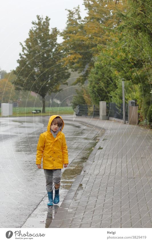 Regenspaziergang - Junge in gelber Regenjacke und Gummistiefeln läuft am Straßenrand durch Pfützen Mensch Kind Fußweg Dorf Baum Natur Regenwetter Umwelt