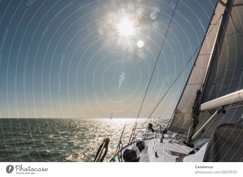 Die Sonne scheint und wir segeln schönes Wetter nass Nordesee Wasser Meer Segel Vordersegel Segelyacht Sonnenstrahlen Horizont Blau Weiß Segelboot