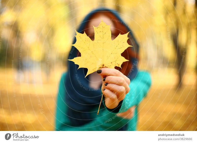 Mädchen, das im Herbst ein gelbes Ahornblatt hält. Herbstblätter. selektiver Fokus Blatt Beteiligung Frau Park Laubwerk Wald schön Natur fallen Hand farbenfroh