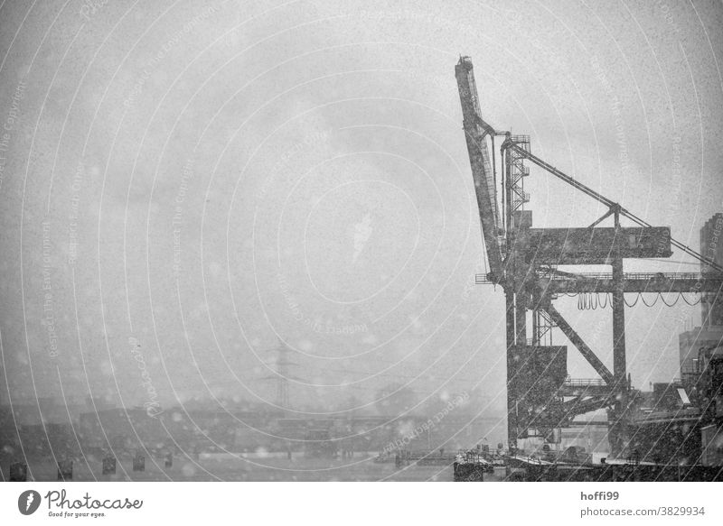 Schneetreiben und Nebel im Hafen Hafenkran Kaianlage Winterstimmung Schneeflocke Beladung Nebelstimmung Nebelschleier Pier Verladekran Ausleger Verladung