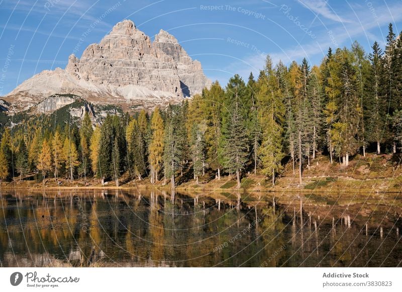 See im Wald gegen Bergspitze im Sommer nadelhaltig Berge u. Gebirge Ambitus Gipfel Hochland sonnig Landschaft die Dolomiten Italien Windstille Wasser ruhig