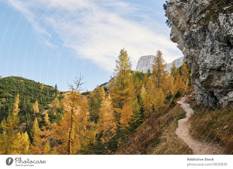 Trail in den Bergen in der Nähe von Herbst Wald die Dolomiten Berge u. Gebirge Ambitus Nachlauf Hochland Wälder fallen Natur Italien Baum Hügel malerisch