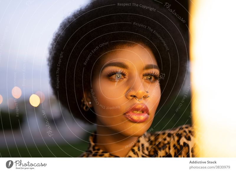 Selbstbewusste schwarze Frau mit Make-up und Afro-Frisur Windstille selbstbewusst Afro-Look ernst Vorschein Stil Denken verträumt brünett friedlich ruhig