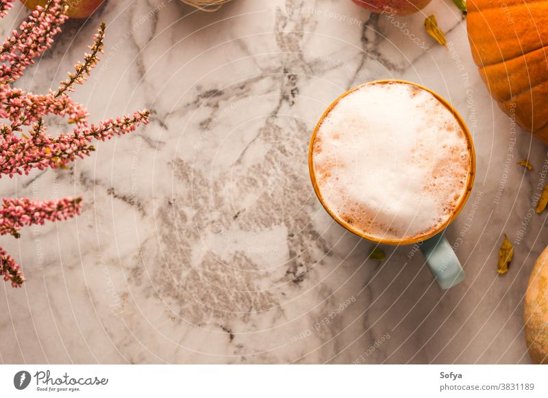 Herbstliches Stilleben mit Kaffeebecher und Kürbissen Becher gemütlich Murmel Hintergrund Latte Cappuccino Tisch Flachlegung Erntedankfest rustikal