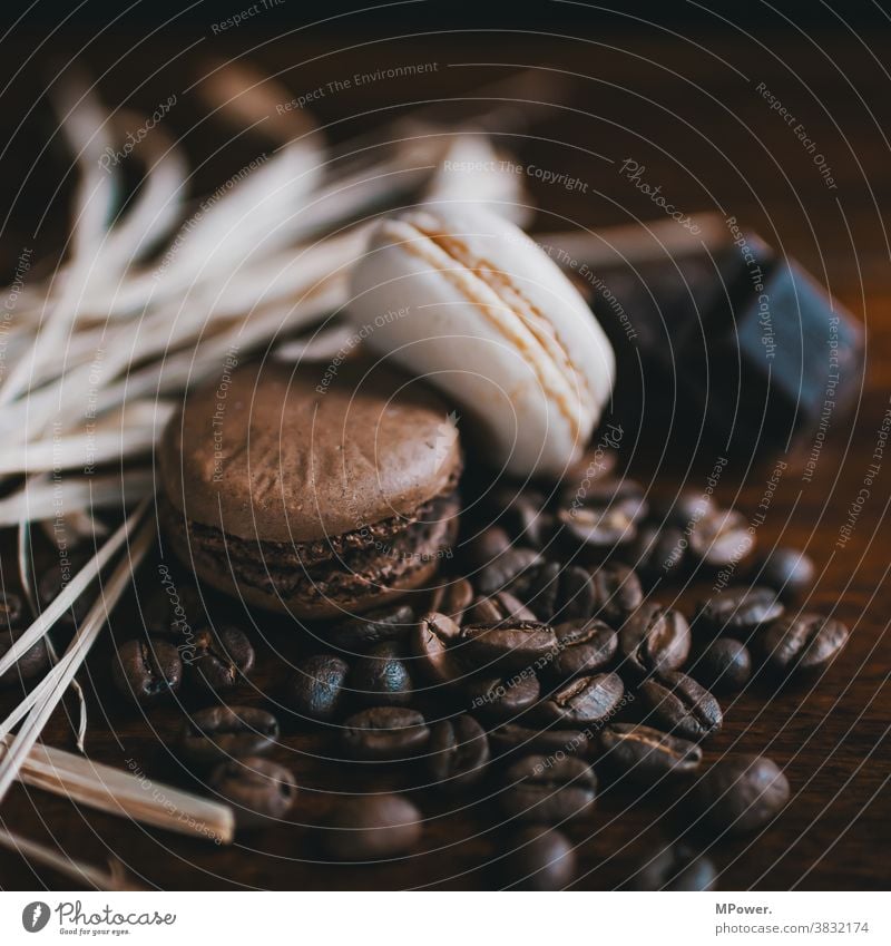 kekse und kaffee Kekse Kaffee Kaffeebohnen braun Café Espresso Bohnen Koffein Nahaufnahme geröstet Makroaufnahme Lebensmittel süßspeise Süßigkeiten aromatisch