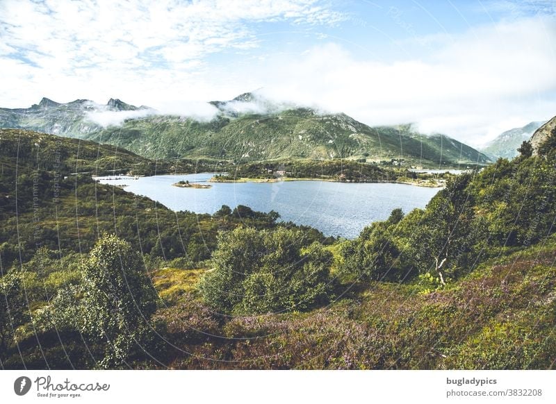 Wunderschöne wilde Landschaft mit Heidekraut, einem See und im Hintergrund einige Berge in Norwegen auf den Vesteralen Berge u. Gebirge Wildnis Gewässer wandern