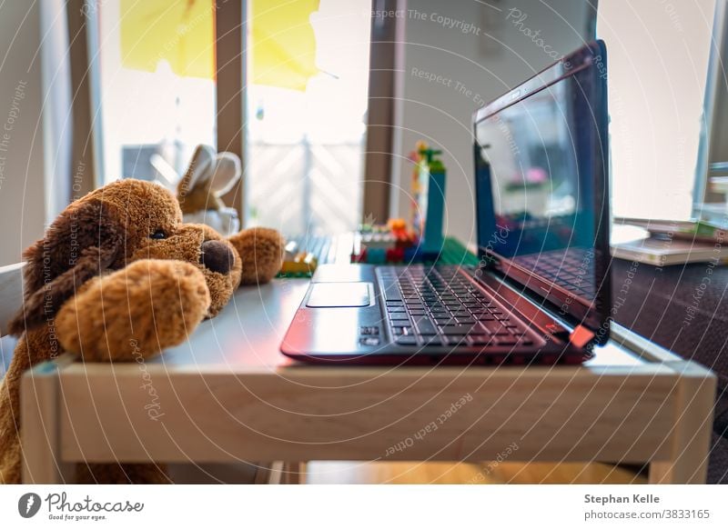 Lustige Homeoffice-Landschaft mit einem Stoffteddy und seinem Freund, einem Kaninchen, das an einem Laptop arbeitet. niedlich Arbeit lehren zeigen heimwärts