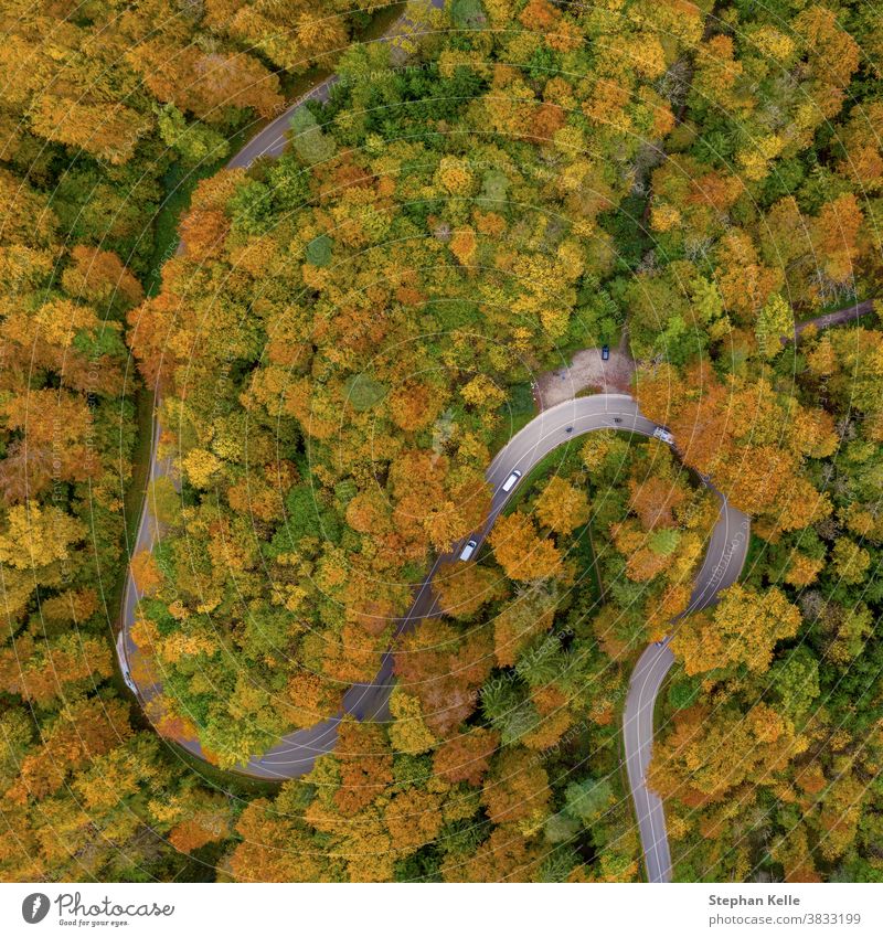 Herbst von oben mit einem Droneshot einer Doppelkurve in einem bunten Wald und fahrenden Autos, schöner Herbst, positives emotionales Naturfoto. Antenne Straße