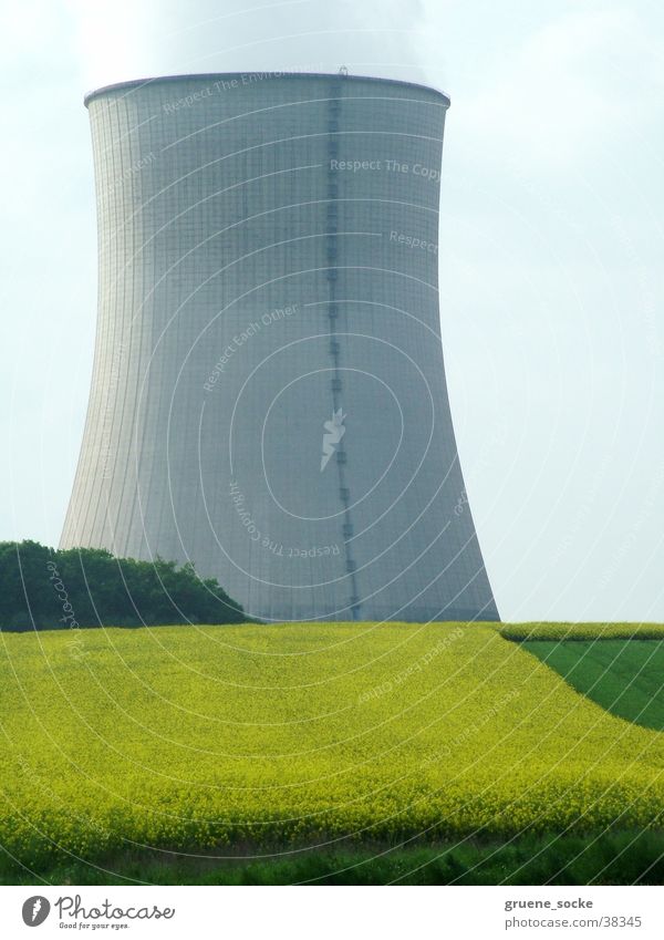Kühlturm im Raps Kernkraftwerk Rapsfeld Frühling Industrie Stromkraftwerke