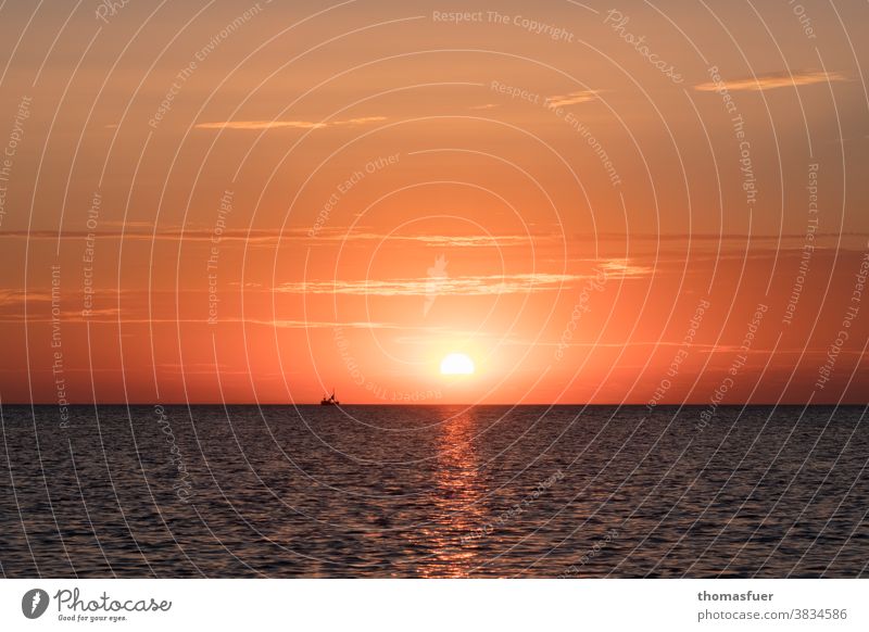 Schiff auf dem Horizont bei Sonnenuntergang. Sehr farbintensiv. Meer Wasser Himmel Wolken Dämmerung Abend Ruhe Küste Ferien & Urlaub & Reisen Ferne Farbe