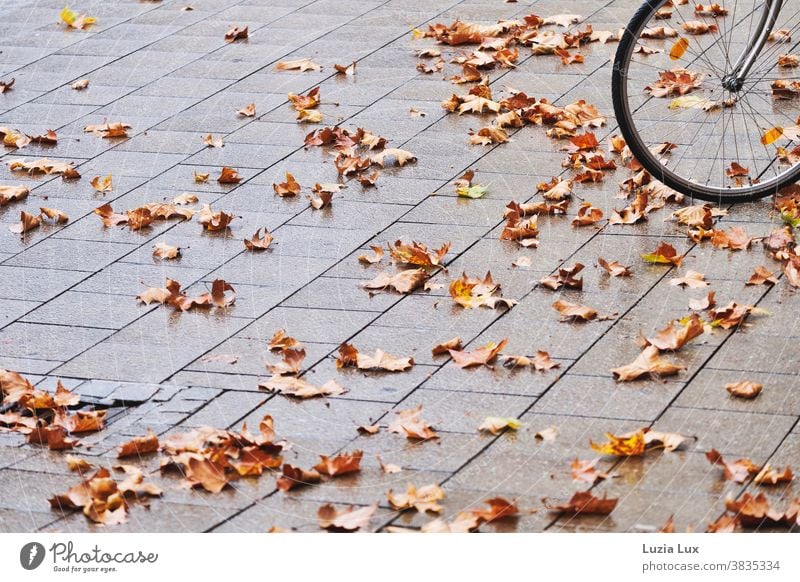 Vorderrad eines Fahrrads mit Herbstlaub Pflaster Pflastersteine grau braun trist regnerisch regnerisches Wetter orange Außenaufnahme Menschenleer Blatt Tag
