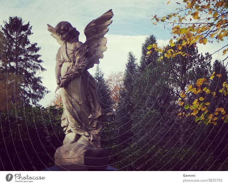 Engel auf einem Friedhof Statue Skulptur Engelsflügel Herbst Grab Ruhe Kontemplation Glaube Trost Ewigkeit Traurigkeit Vergänglichkeit Marmor Einsamkeit Frieden