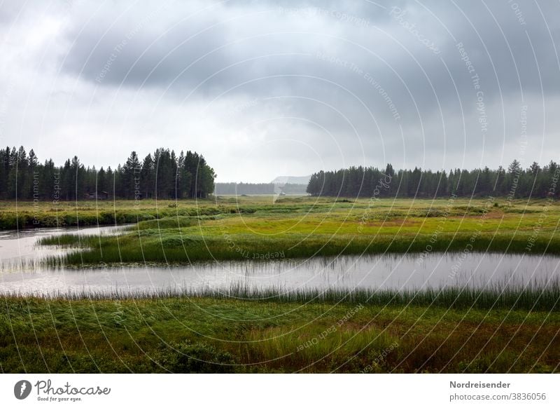 Moorlandschaft im Norden von Schweden Weitwinkel Abend Textfreiraum oben Menschenleer Außenaufnahme Traurigkeit Farbfoto Endzeitstimmung bizarr Einsamkeit nass