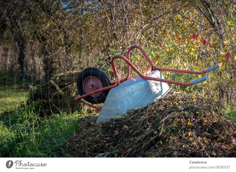 Der Komposthaufen wächst im Herbst schnell an Natur Flora Pflanzen Vegetation Wandel& Veränderung Blätter Hecke Wilder Wein Weissdorn verrotten Gras Garten