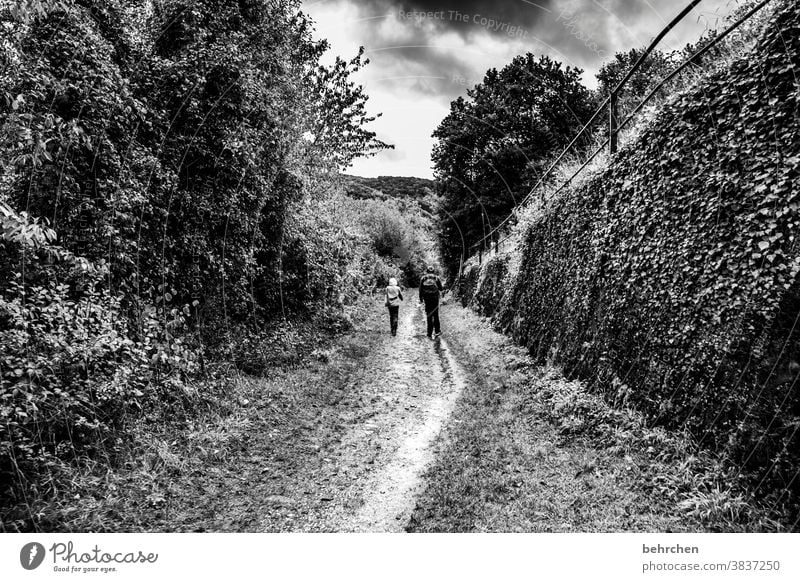 ein tag in schwarz weiß Weinberg Jahreszeiten herbstlich Herbst Regen Hunsrück Rheinland-Pfalz Flussufer Mosel (Weinbaugebiet) Moseltal Ruhe Idylle Abenteuer