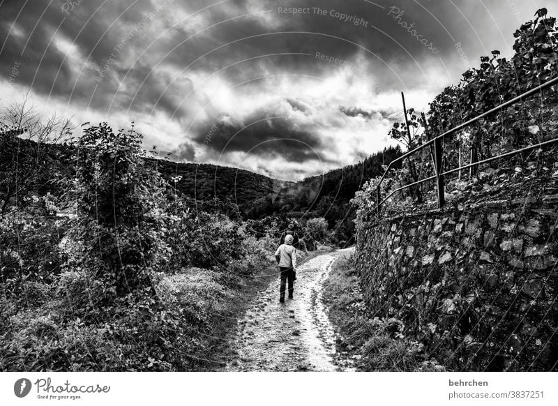 ein tag in schwarz weiß Natur wandern Schwarzweißfoto dunkel melancholie melancholisch Wolken Himmel Ausflug Tourismus Berge u. Gebirge Landschaft Abenteuer