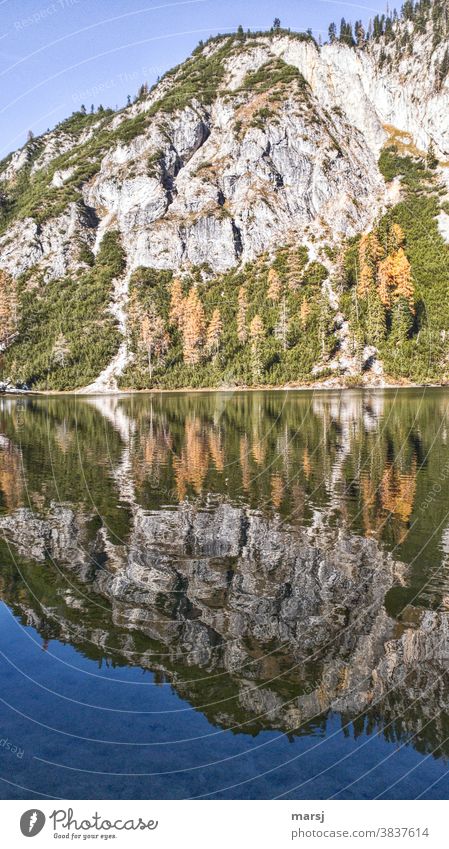 Herbstliche Spiegelung im Ahornsee Wasser Freiheit Herbstgold Alpen Urelemente Herbstfärbung Schatten Kontrast Weitwinkel Starke Tiefenschärfe