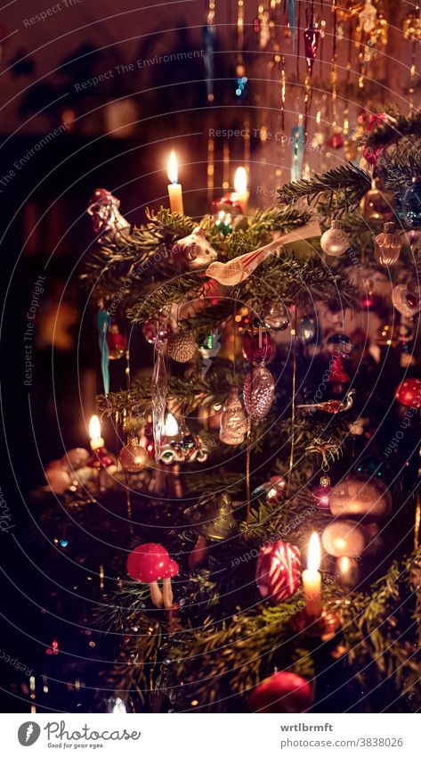 Ein Detail eines klassischen deutschen Weihnachtsbaums mit echten Kerzen und viel Lametta. Im Kerzenschein beleuchtet gibt es viele verschiedenen Christbaumschmuck zu entdecken.