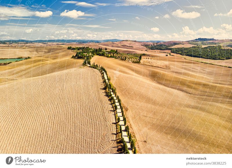 Goldene Felder der Toskana und von toskanischen Zypressen gesäumte Straße Italien Ackerbau Landschaft ländlich Ackerland weniger befahrene Straße sonnig Sommer