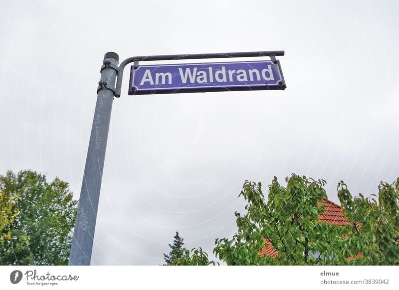 freistehendes Straßenschild "Am Waldrand" vor einem Haus und Bäumen bei trübem Wetter, aus der Froschperspektive Straßenname Schild Schilder & Markierungen