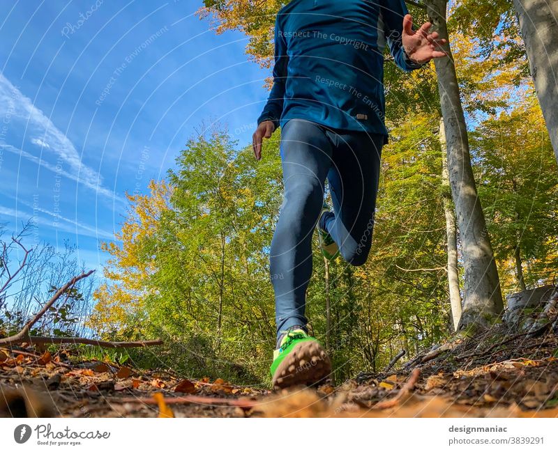 Joggen im Herbst laufen trail herbstlich Wald Himmel Waldboden Turnschuh Baum Froschperspektive rennen kopflos sonnig sonniger Tag grün gelb Außenaufnahme Natur