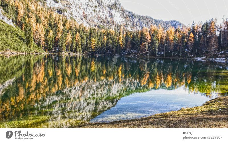 Ahornsee, herbstlich präsentiert mit goldenen Lärchen See Gebirgssee mehrfarbig träumen Seeufer Felsen leuchten Lebensfreude verträumt Idylle Hoffnung wandern