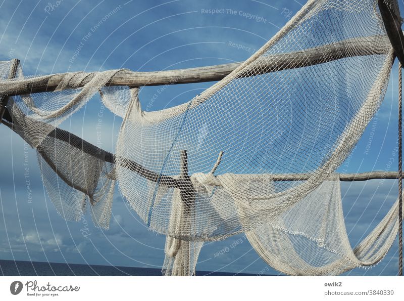 Zingst Fischernetz Fischereiwirtschaft hängen geduldig trocknen beweglich netzartig durchsichtig Außenaufnahme Detailaufnahme Muster Strukturen & Formen Tag