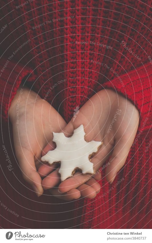 Ein weißes Weihnachtsplätzchen in Form einer Schneeflocke in den Händen einer jungen Frau im roten Strickpullover. Nahaufnahme der Hände mit dem Pullover als Hintergrund.