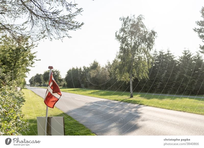 Dänische Flagge an Straße Dänemark Fahne Menschenleer Nationalflagge rot Patriotismus Stolz Politik & Staat Dänische flagge Urlaub Weg Baum wehen Außenaufnahme