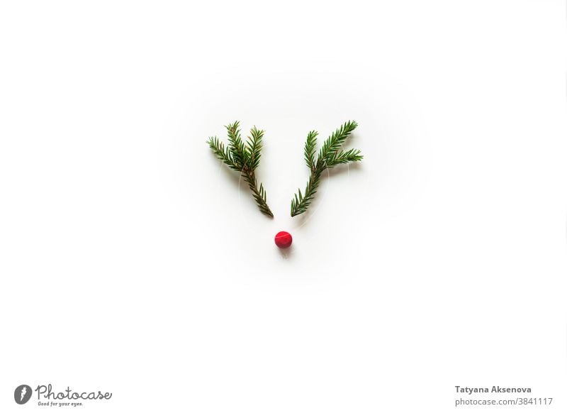 Weihnachtshirsche aus Baumzweigen Weihnachten Hirsche Hintergrund rot Dekoration & Verzierung Feiertag Winter Nase festlich rudolf Rentier Postkarte Freude