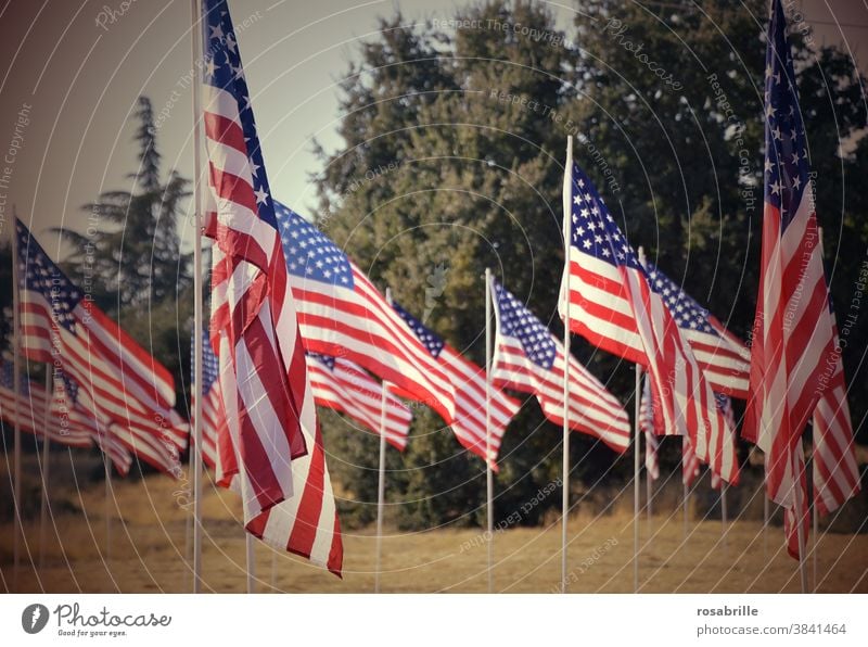 knapp daneben | die Wahl in den USA 2020 Amerika Fahne Fahnen Flagge Nationalismus viele wehen Erinnerung Patriotismus Mahnung Mahnmal Symbol Banner Sterne
