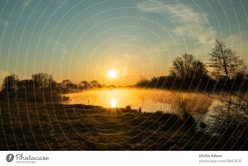 Mystischer Sonnenaufgang im Teufelsmoor bei Bremen Worpswede Morgendämmerung Sonnenuntergang Baum Winter Landschaft Moor Nebel Natur nebelig diesig Spiegelung