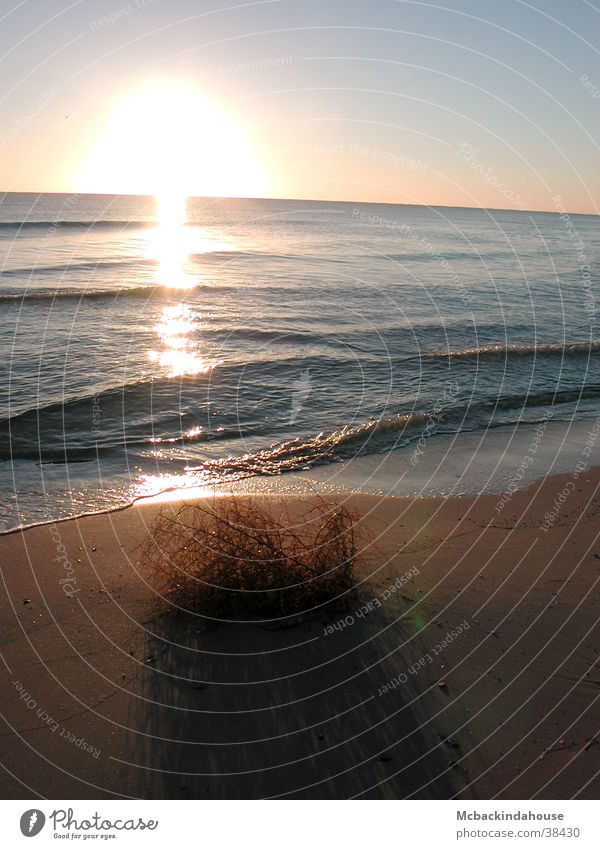 Sonnenschatten Sonnenaufgang Meer Strand Sträucher Einsamkeit Ferien & Urlaub & Reisen ruhig Licht Wellen Schatten leer Frieden blau