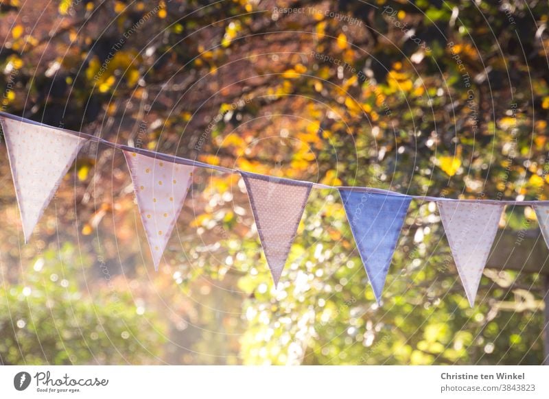 Bunte Wimpelkette vor herbstlich gefärbten Bäumen und Sträuchern an einem sonnigen Herbsttag mit tiefstehender Sonne und Lichtreflexen Herbstfärbung Herbstlaub