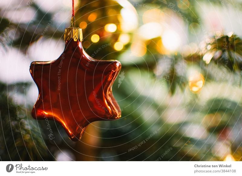 Stern und Kugel glänzen im geschmückten Weihnachtsbaum Weihnachtsschmuck Christbaumschmuck Christbaumkugel Glasschmuck Weihnachten & Advent