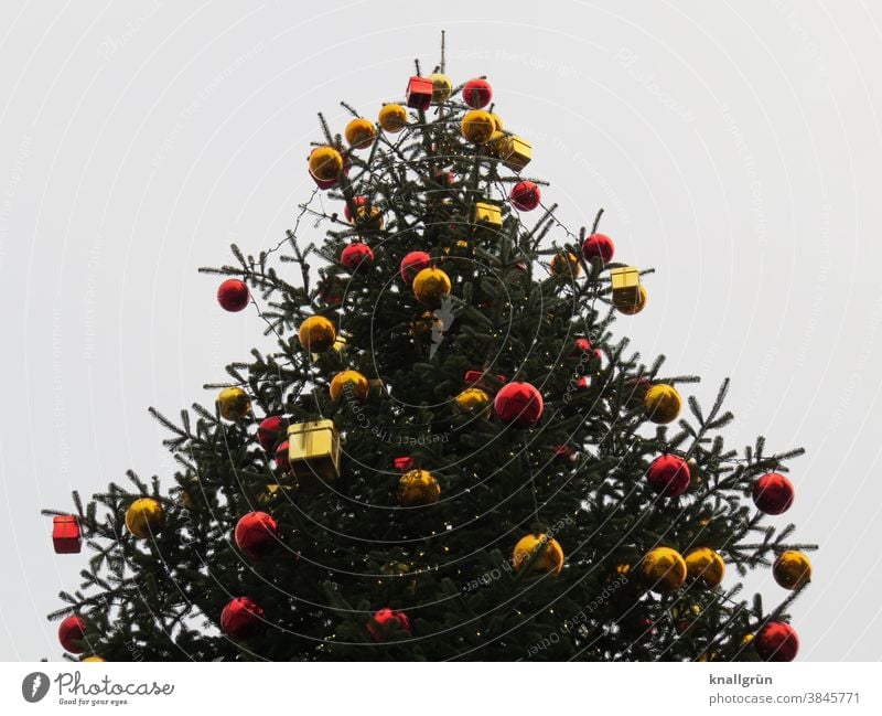 Rot-gold geschmückter Weihnachtsbaum Weihnachten & Advent Dekoration & Verzierung Weihnachtsdekoration Weihnachtsbaumdekoration Christbaumkugel Farbfoto