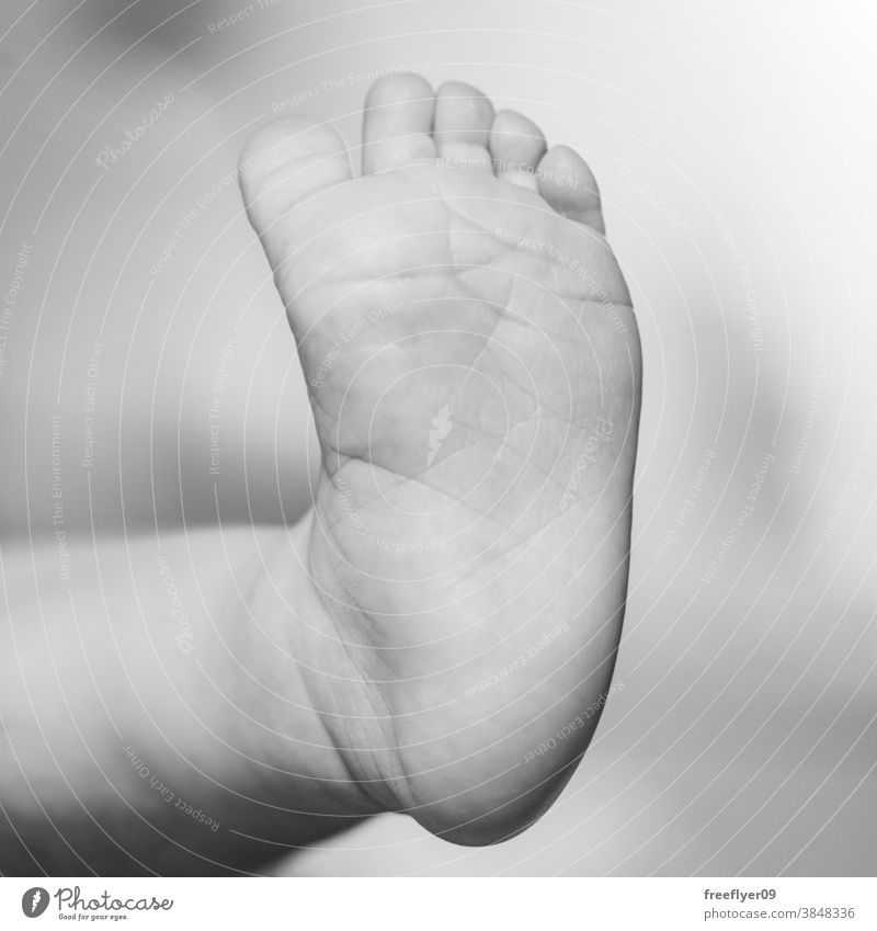 Detail eines Zehs eines Neugeborenen neugeboren Baby Detailaufnahme schwarz auf weiß klein winzig Mutter Person Schönheit Haut Kinder menschlich Kindheit Bein