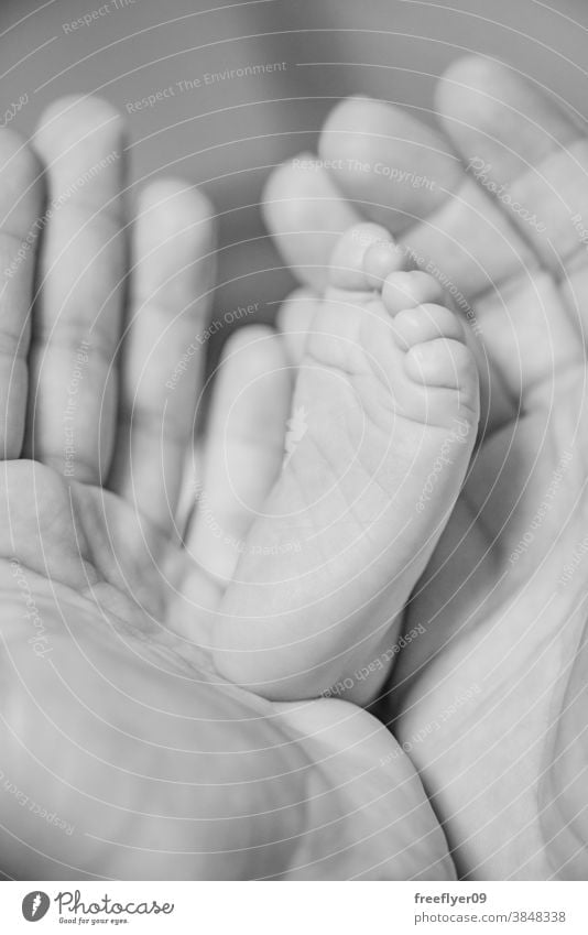Detail eines neugeborenen Zehs zwischen den Händen der Mutter Baby Detailaufnahme schwarz auf weiß Glück Gesundheitswesen Angebot Finger Haut Kinder Sicherheit