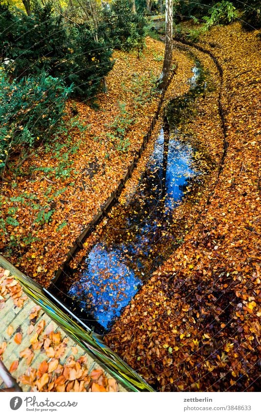 Herbstlaub an einem Wasserlauf im Großen Tiergarten bach baum berlin brücke busch dschungel fließ fluß gewässer großer tiergarten grün herbst herbstlaub