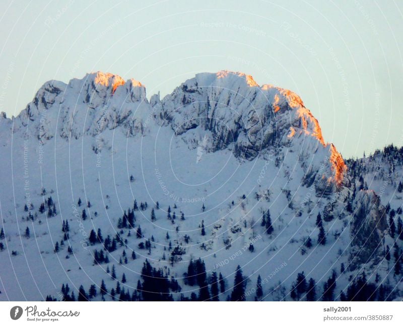 die Kampenwand im Sonnenuntergang... Chiemgau Chiemgauer Alpen Oberbayern Bayern Berge u. Gebirge Winter Schnee Alpenglühen Gipfel Landschaft Natur