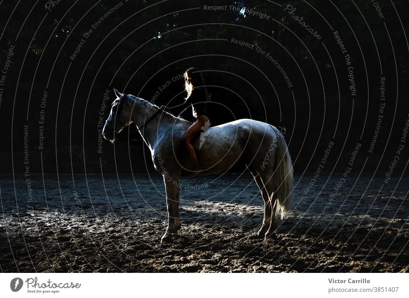 Junges schönes Mädchen mit weißem Pferd im Wald. Reiterin im Boho-Stil. Naturszene im Sommer. Tier attraktiv Schönheit Kaukasier Landschaft niedlich Kleid