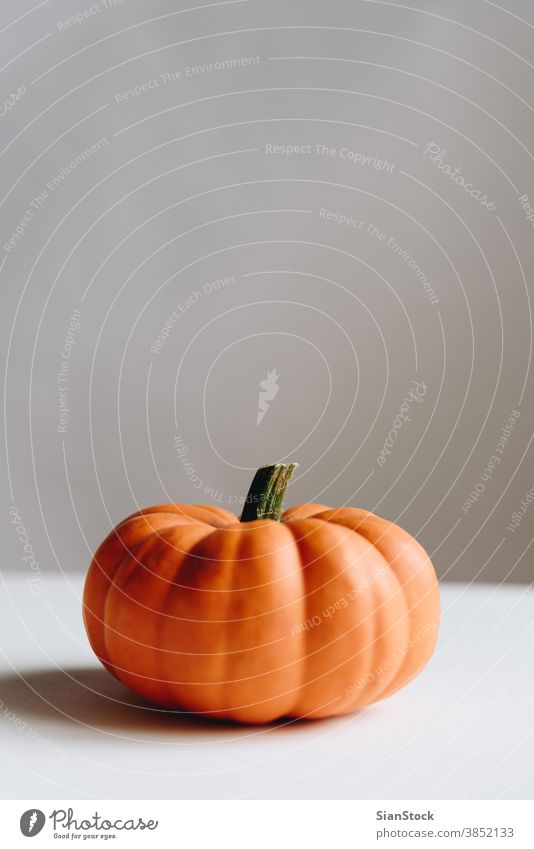 Oranger Kürbis auf weißem Hintergrund. Halloween-Konzept. orange Wagenheber Dekoration & Verzierung frisch Herbst reif Buh Lebensmittel Gemüse vereinzelt