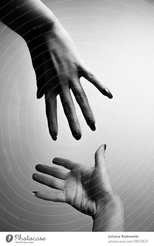 Hände, die sich berühren wollen Hand Finger Mensch Detailaufnahme Frau Vertrauen Freundschaft Erwachsene Sympathie feminin Zusammensein 2 Liebe Geborgenheit