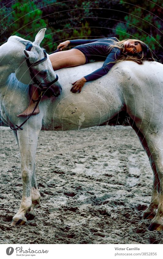 Junges schönes Mädchen mit weißem Pferd im Wald. Reiterin im Boho-Stil. Naturszene im Sommer. Mode Tier attraktiv Schönheit Kaukasier Landschaft niedlich Kleid