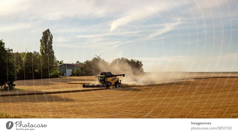 Mähdrescher, der auf einem Weizenfeld arbeitet. Sonnenstrahlen, Ernte des Weizens. Landwirtschaft. Landschaft Panorama Web Banner landwirtschaftliches Feld