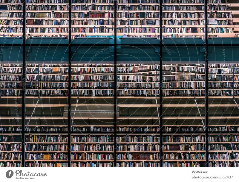 Eine Wand aus Tausenden von Büchern in einer Bibliothek viele Spiegelung Glas Menge Riga lesen Lektüre Kunst Literatur Buch Bildung Roman Lesestoff Wissen